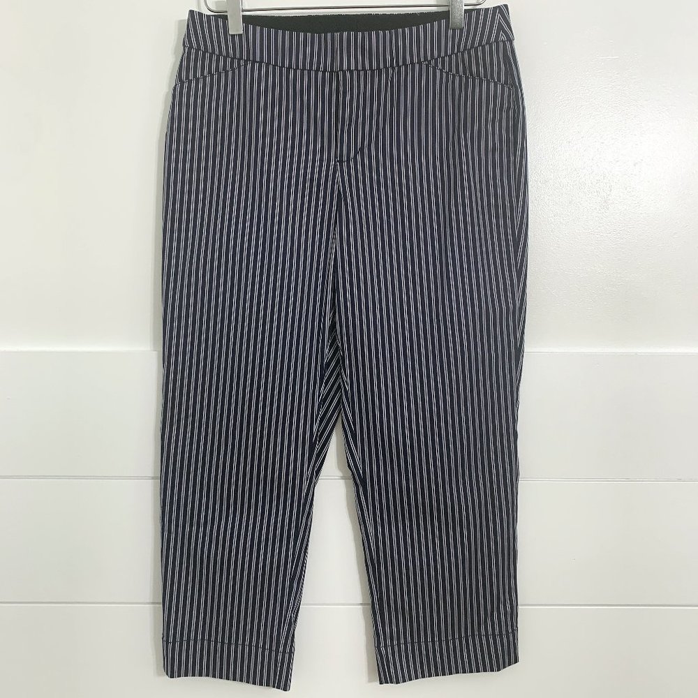 Soma ankle crop pinstripe navy pants